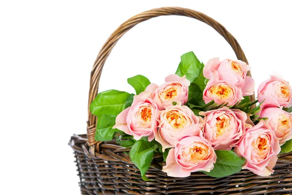 Pink roses in the basket — Stock Photo, Image
