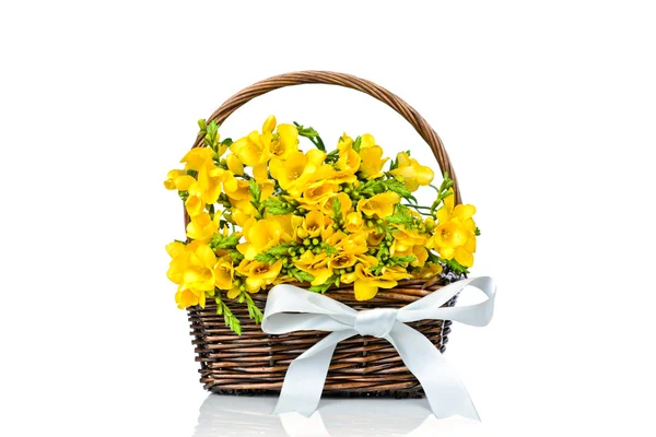 Yellow freesia flowers in the wicker — Stock Photo, Image