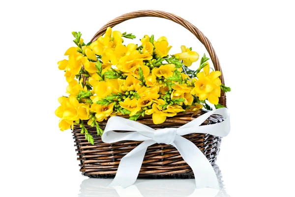 Yellow freesia flowers in the wicker — Stock Photo, Image