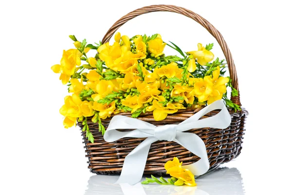 Frezja żółte kwiaty w wiklinowe — Zdjęcie stockowe