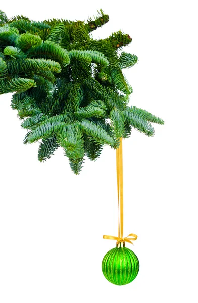 Pine branches and Christmas ornaments — Stock Photo, Image