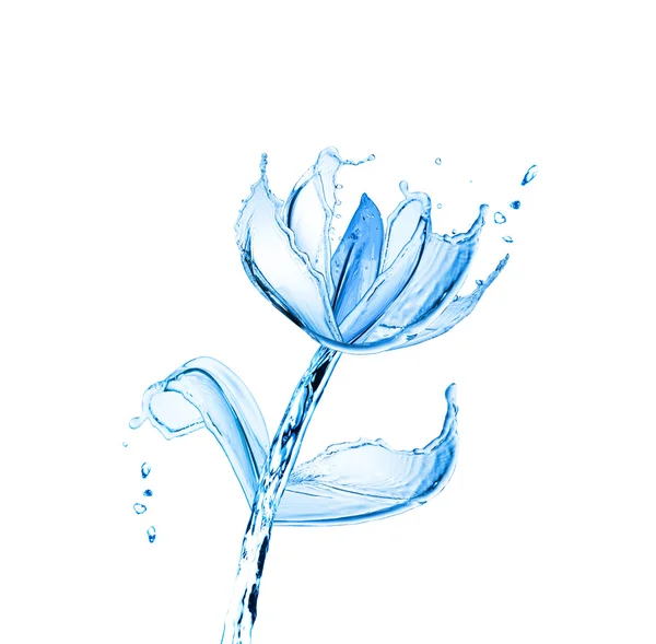 Цветок из брызг воды изолирован на белом фоне — стоковое фото