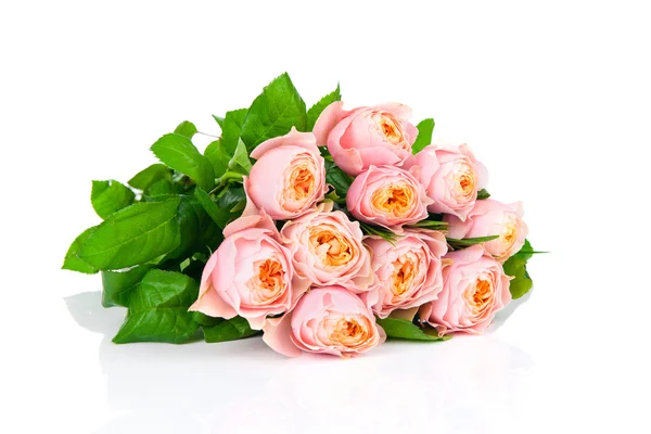 Roze rozen — Stockfoto