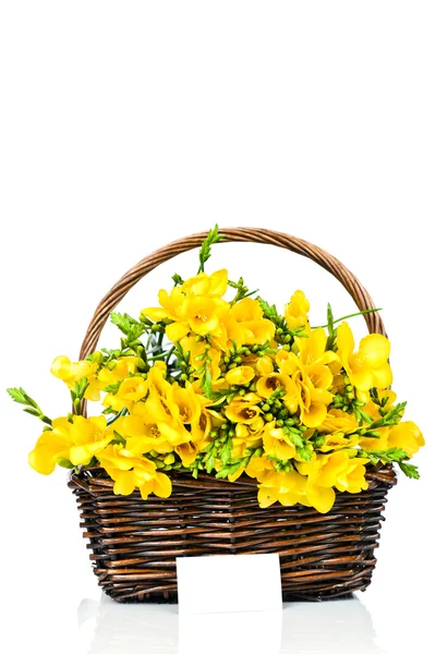 Желтые цветы фрезии в плетеной — стоковое фото