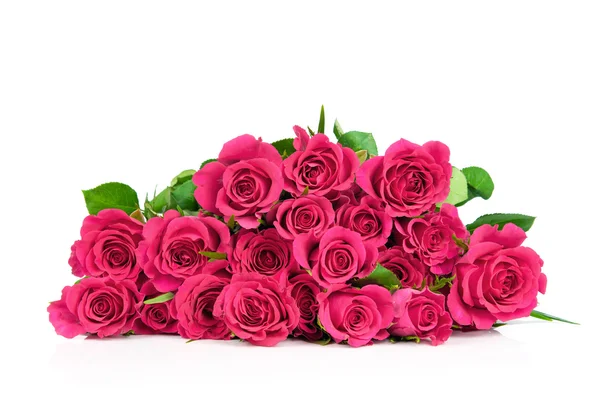 Roze rozen — Stockfoto