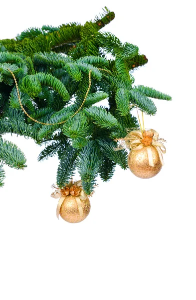 Pine grenar och christmas ornament — Stockfoto