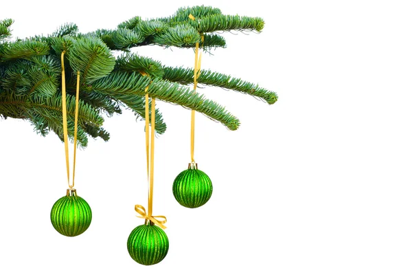 Pine grenar och christmas ornament — Stockfoto