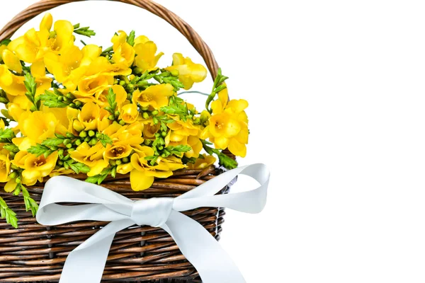 Gele fresia's bloemen in de rieten — Stockfoto