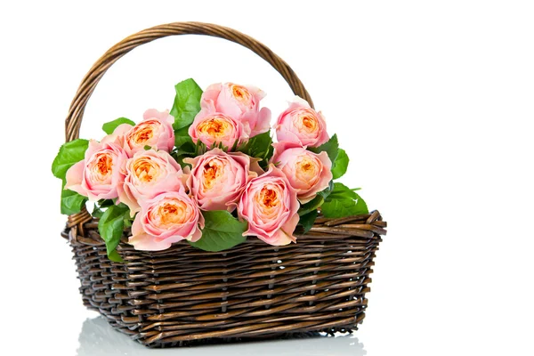 Розовые розы в корзине — стоковое фото