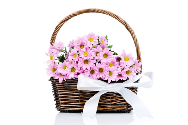 Chrysanthemum flowers in the wicker — Stock Photo, Image