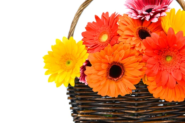 Змішайте квіти-гербери в плетеній — стокове фото