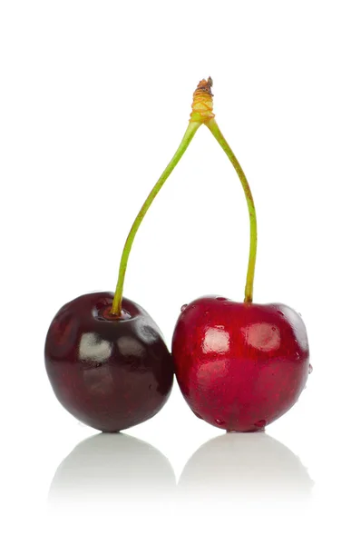 Cherry isolato su sfondo bianco — Foto Stock