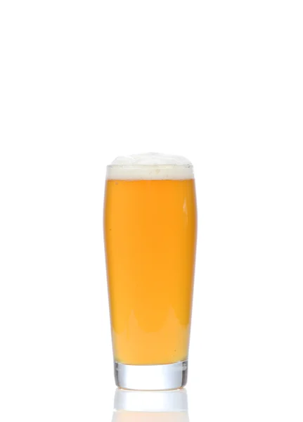 Glass of beer on white background — Stock Photo, Image