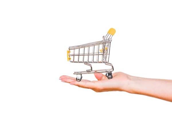 Hand and a shopping cart isolated on white background — Stock Photo, Image