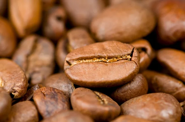 Grãos de café — Fotografia de Stock