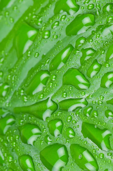 Gouttes d'eau sur feuille verte — Photo