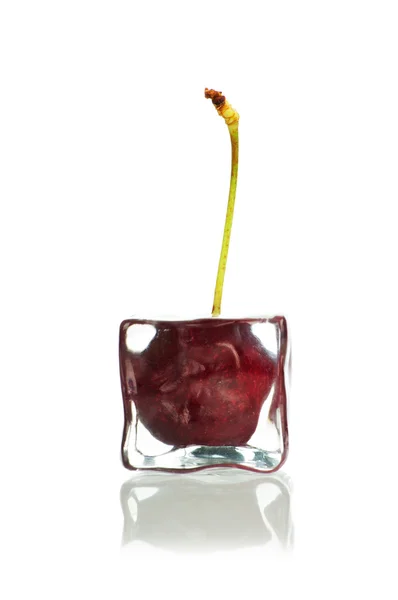 Cherry in the ice cube isolated on white background.Creative Stock Image