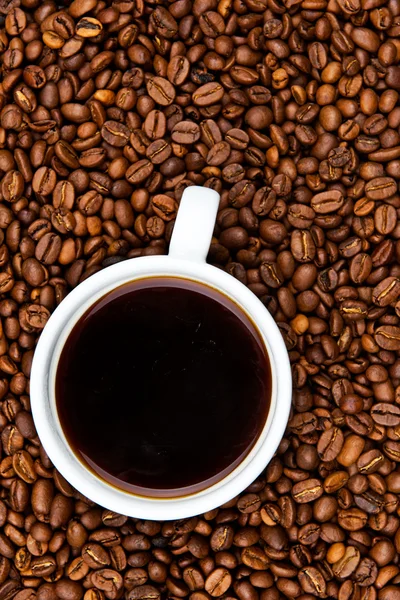 Cup of coffee on the coffee beans — Stock Photo, Image