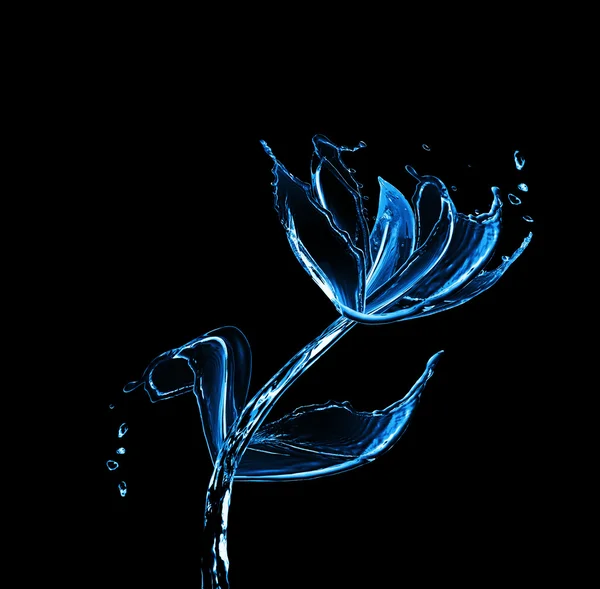 Flower made of water splashes — Stock Photo, Image