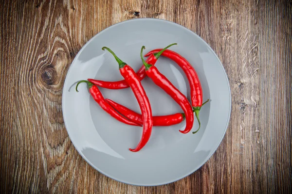 Organic chili peppers on the plate — Stock Photo, Image