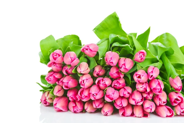 Strauß von Tulpen isoliert auf weißem Hintergrund — Stockfoto