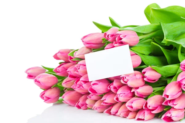 Bukiet tulipanów izolowanych na białym tle — Zdjęcie stockowe