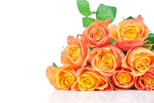 Orange rosor på vit bakgrund — Stockfoto
