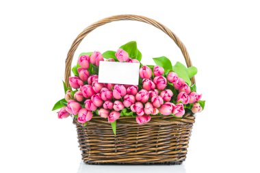 Pembe Laleler ve hasır bir tebrik kartı