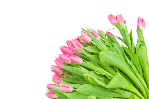 Bouquet di tulipani rosa — Foto Stock