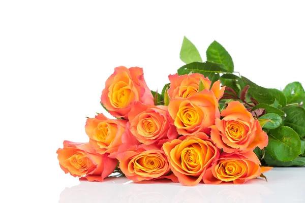 Pomarańczowy róż na białym tle — Zdjęcie stockowe