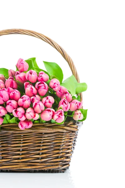 Roze tulpen in de rieten — Stockfoto