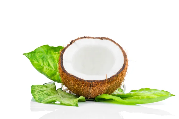 Noce di cocco con foglia verde — Foto Stock