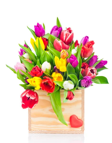 Tulips in the box on white background — Stock Photo, Image