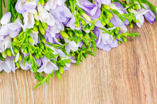 フリージアの花の束 — ストック写真