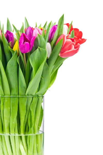 Tulpen in de vaas — Stockfoto