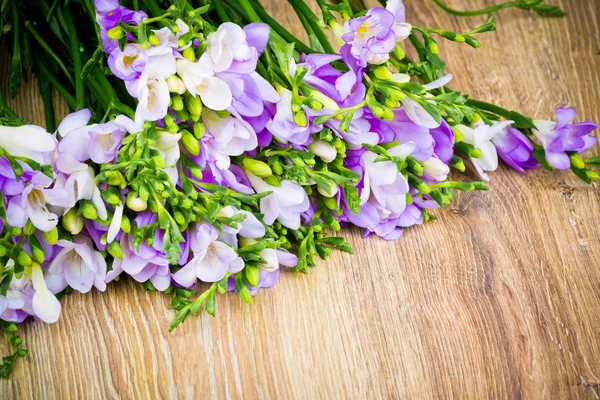 Um bando de flores freesia — Fotografia de Stock