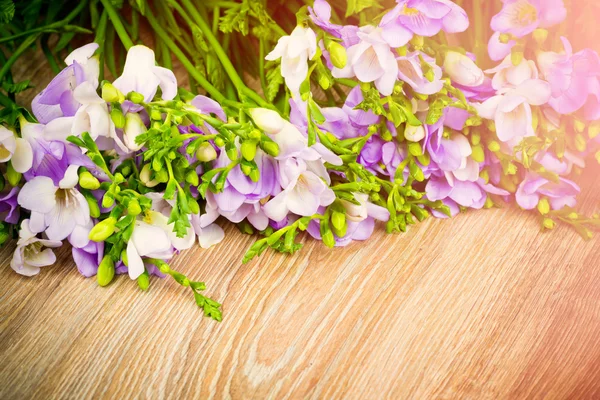 ライラック フリージアの花 — ストック写真