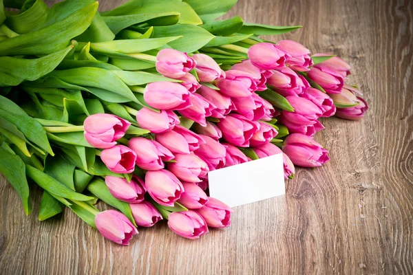 Tulips flowers — Stock Photo, Image