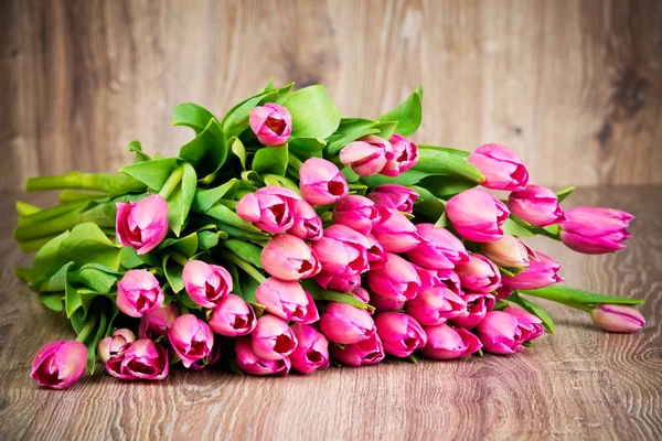 Tulpen Blumen — Stockfoto