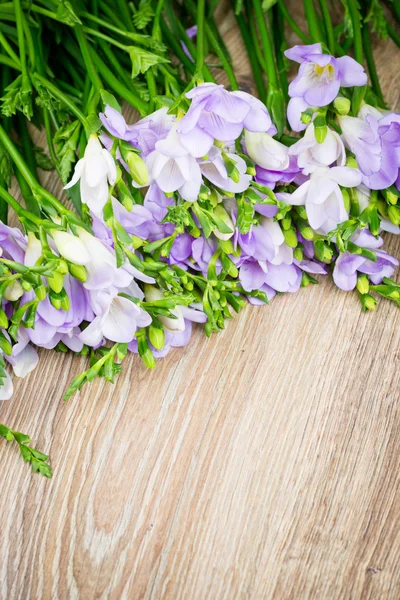 フリージアの花の束 — ストック写真