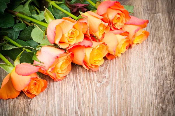 Roses flowers — Stock Photo, Image