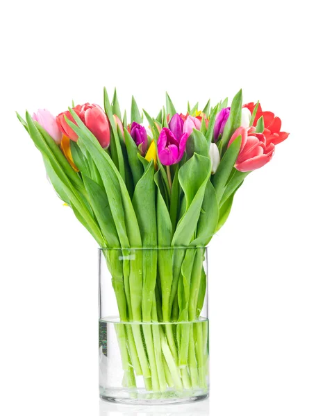 Тюльпаны в вазе — стоковое фото