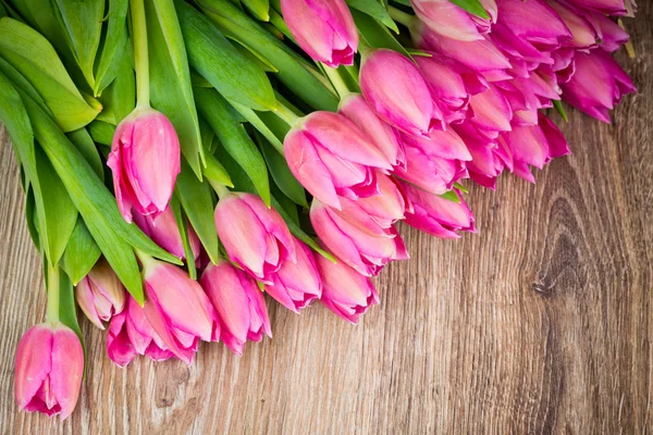 Tulpen Blumen — Stockfoto