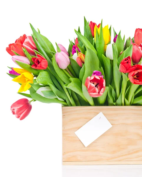 Tulpen in de houten doos — Stockfoto