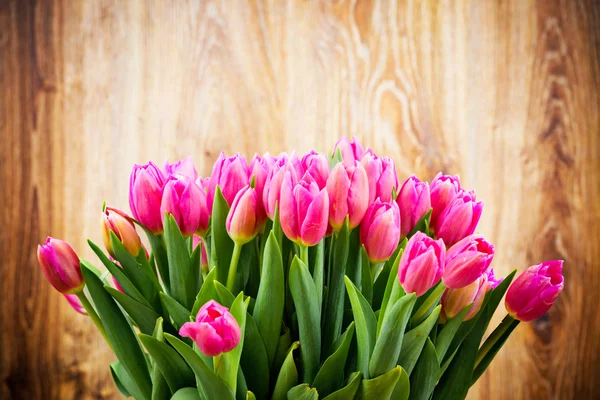 Tulpen Blumen — Stockfoto