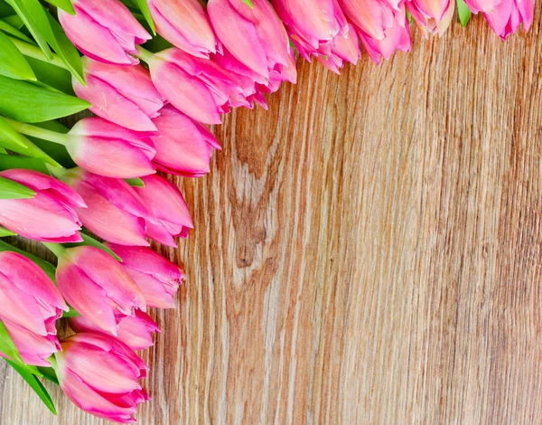 Tulpen Blumen — Stockfoto