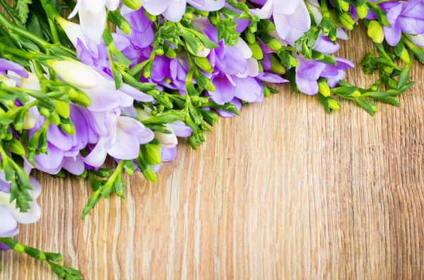Цветы фризии — стоковое фото