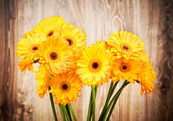 Gänseblümchen auf hölzernem Hintergrund — Stockfoto