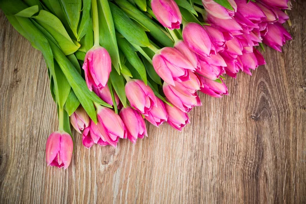 Tulpen Blumen — Stockfoto