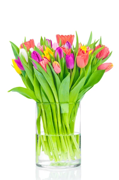 Tulpen in de vaas op witte achtergrond — Stockfoto
